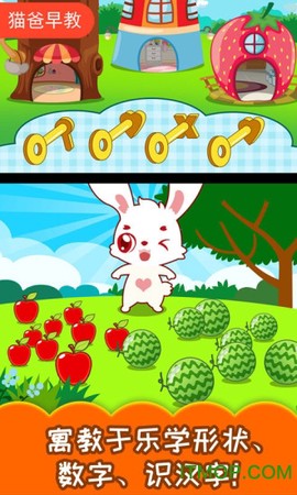 森林动物小纵队[图1]