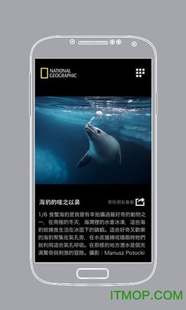国家地理截图2