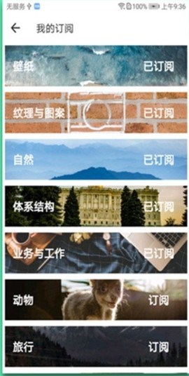 unsplash截图3