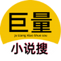 巨量小说搜