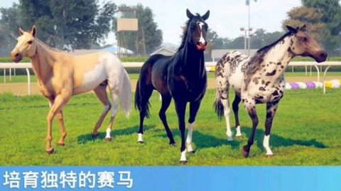 奔跑的马截图3