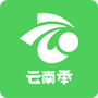 云南季