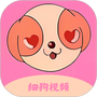 细狗视频编辑