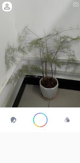 惊鸿相机截图3