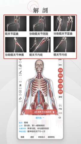 第三人体截图3