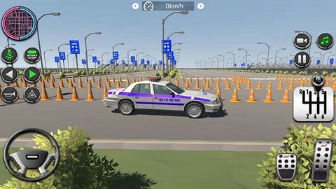 驾考模拟器截图3