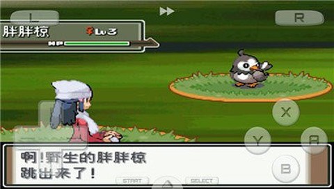 口袋妖怪白金截图2