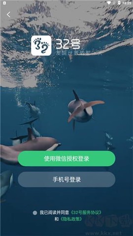 32号[图2]