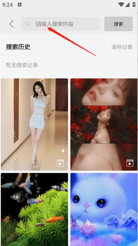 随心手机壁纸[图5]