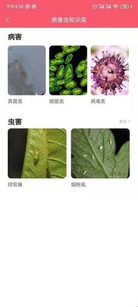 樱桃医生截图1