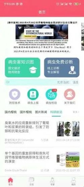 樱桃医生截图2