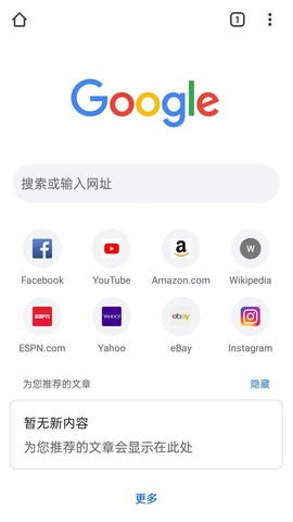 谷歌浏览器官方版[图1]