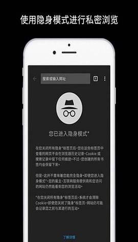 谷歌浏览器官方版截图3