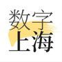 数字上海