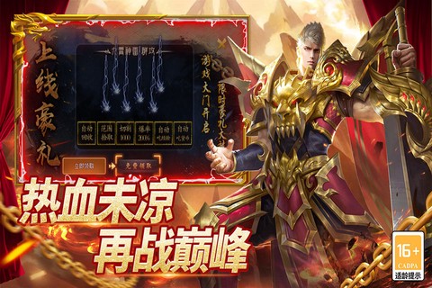圣域传说截图2