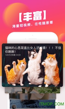 波波视频截图3