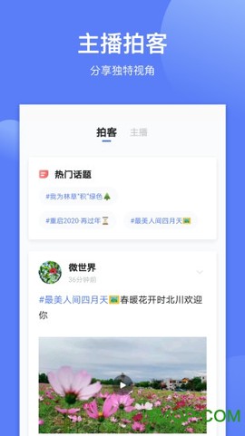 四川观察截图3