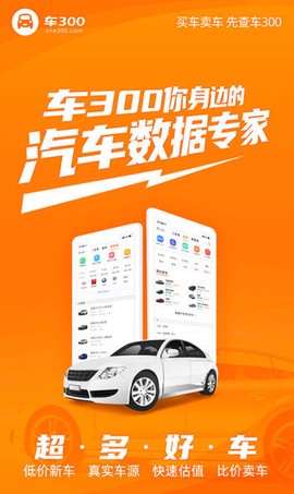 车300二手车截图1