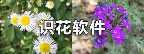 农科易管平台截图3