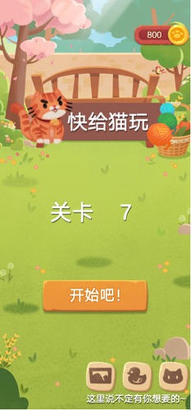 快给猫玩截图1