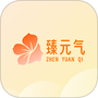 臻元气