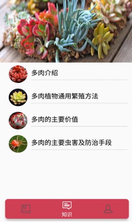小草多肉日记截图2