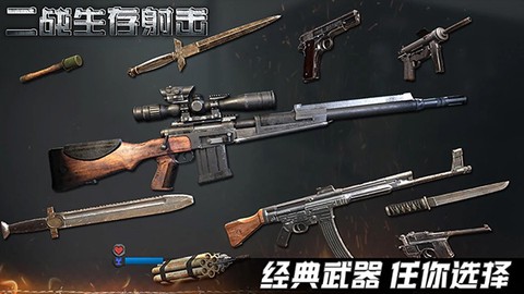 二战生存射击游戏截图1