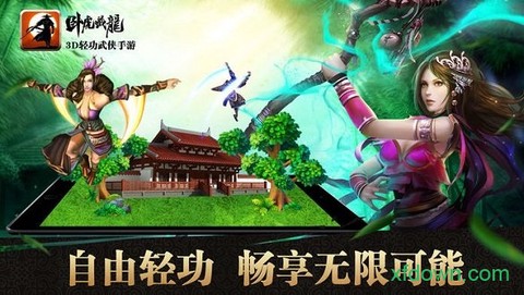 卧虎藏龙截图3