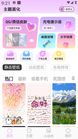 主题壁纸组件大全截图3