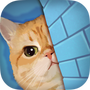 橘猫侦探社