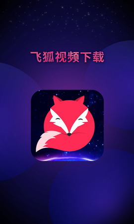 飞狐视频去水印截图3
