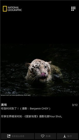 国家地理截图1