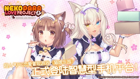 猫娘乐园2安卓汉化版截图1