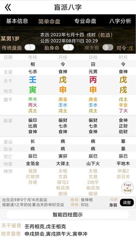 盲派八字截图3