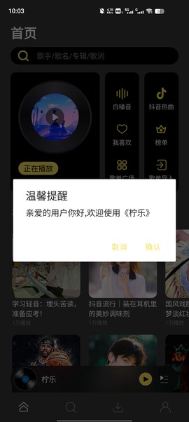 柠乐音乐截图3
