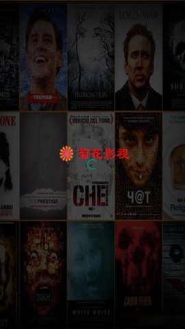 菊花影视截图2