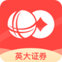 英大金点