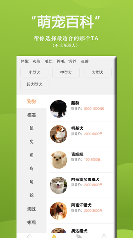 狗狗Bing商城截图1
