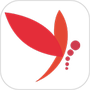 影音播放合集