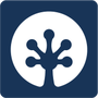 微件大师