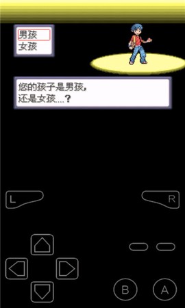 口袋妖怪：命运红宝石2[图1]