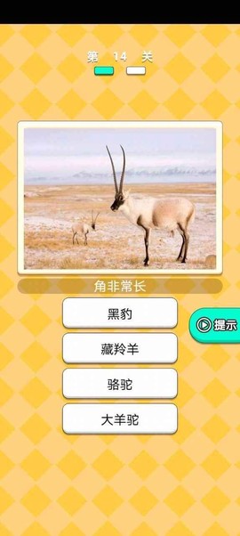 动物研究院截图3