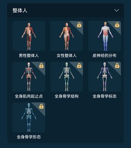 解剖大师[图2]