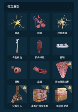 解剖大师[图4]