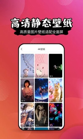 壁纸精灵[图1]