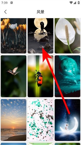 悦赏时光[图3]