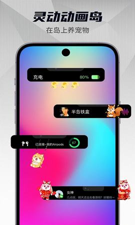 灵动小组件截图2