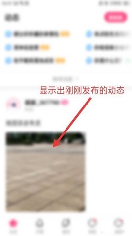 皮皮蟹[图1]