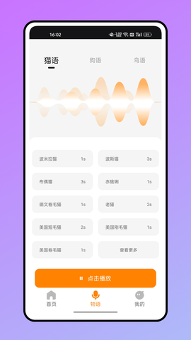 仓鼠翻译器截图2