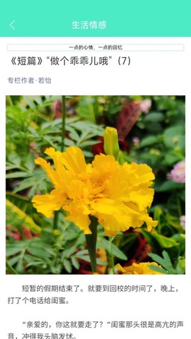 天天日历截图1